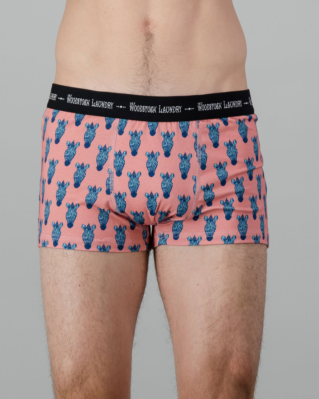 Mens Boxer Briefs - Turquoise Zebra Heads on Pink Front - Woodstock Laundry