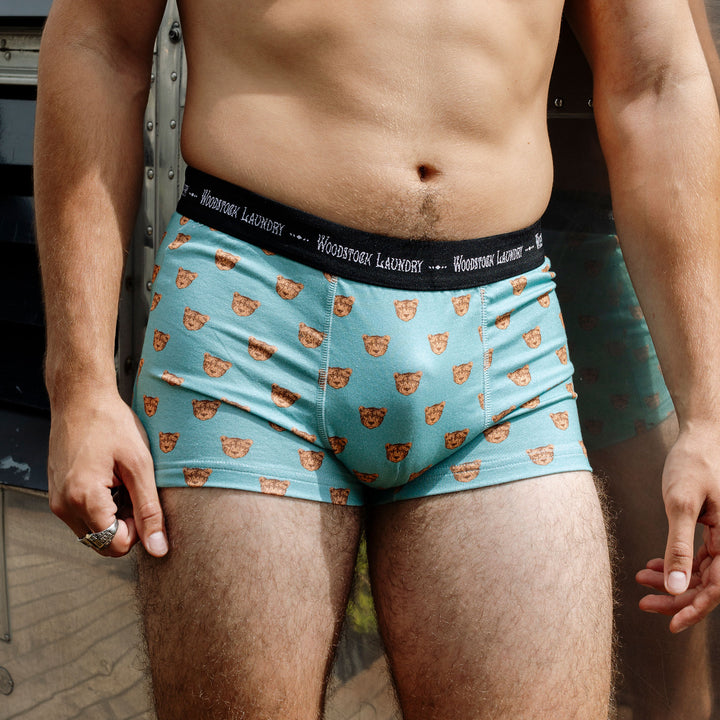 Mens Boxer Briefs - Cheetah Heads on Turquoise Lifestyle - Woodstock Laundry