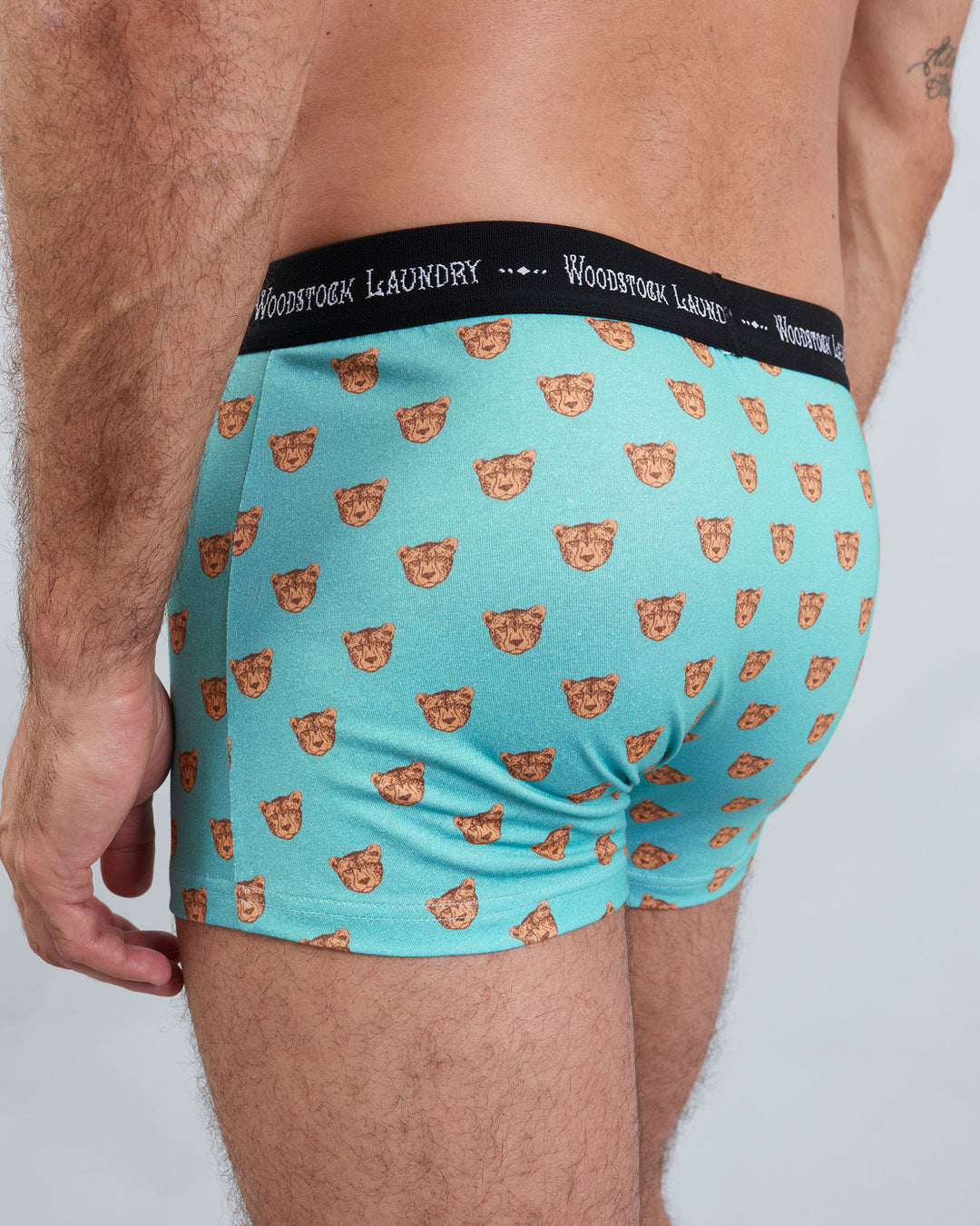 Mens Boxer Briefs - Cheetah Heads on Turquoise Back - Woodstock Laundry