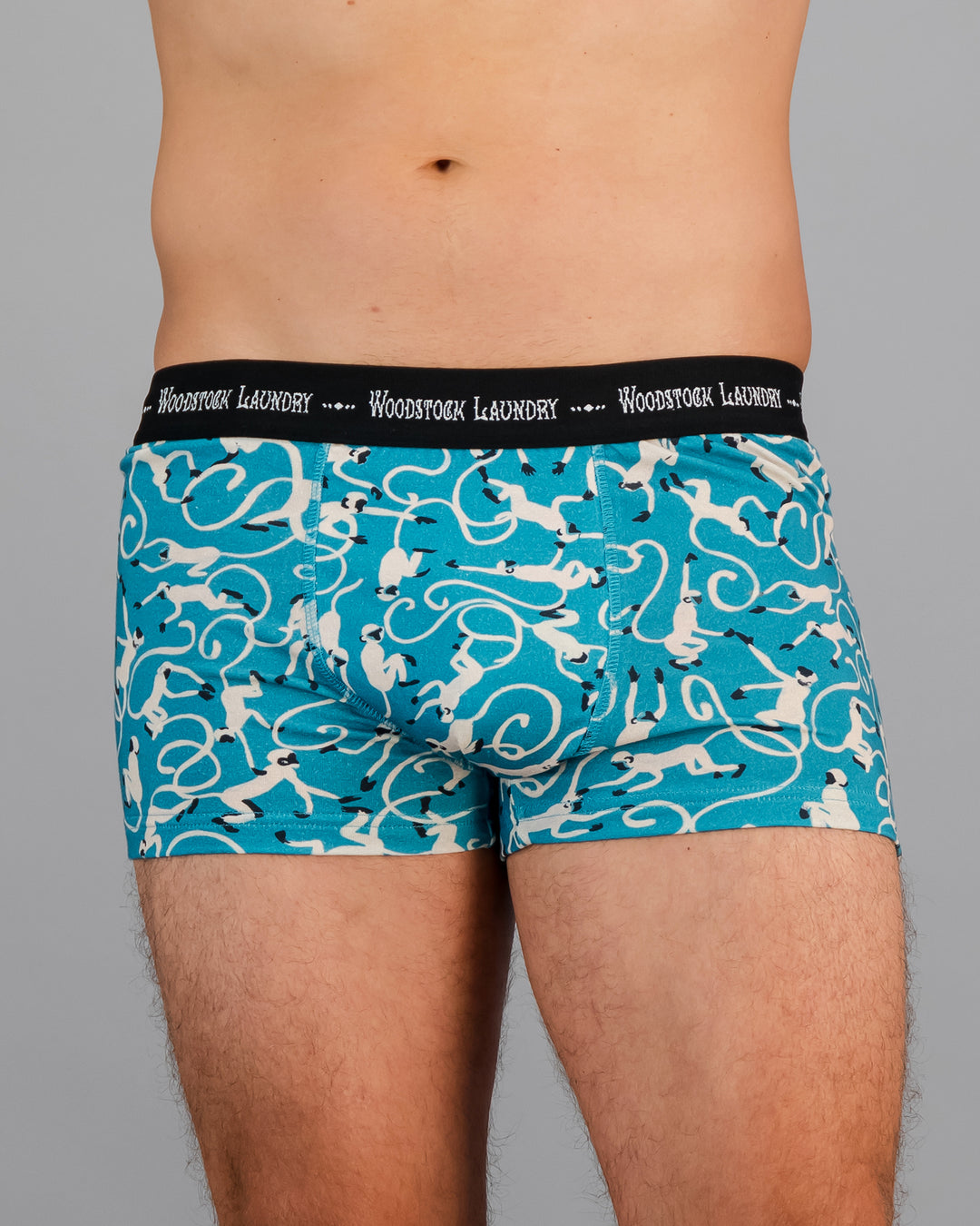 Mens Boxer Briefs - Monkeys on Teal Front - Woodstock Laundry