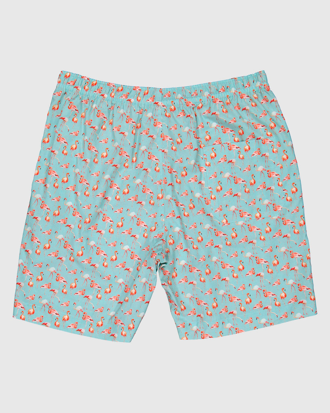 Mens Lounge Shorts Flamenco-Flamingo Blue Back - Woodstock Laundry